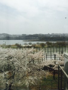 There is Han river right in front of my friend's house. It was a gloomy day.